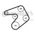 ZESTAW PASKA PK /CONTI/ Contitech 6PK1205K1 (фото 1)
