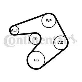 Комплект поліклинових ременів Contitech 6PK1205WP1