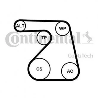 ZESTAW PASKA PK /CONTI/ Contitech 6PK1217K2