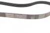 Поликлиновой ремень CITROEN C4 II (B7) 2.0 Hdi 11/09- Contitech 6PK1244 (фото 2)