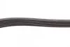 Поликлиновой ремень CITROEN C4 II (B7) 2.0 Hdi 11/09- Contitech 6PK1244 (фото 3)