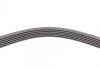Ремень поликлиновый VW T4/BORA/GOLF IV, SEAT Contitech 6PK1352 (фото 3)