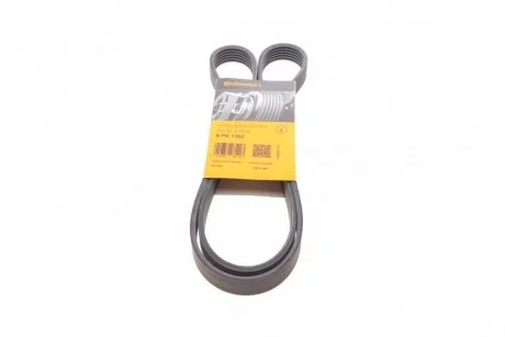Ремінь полікліновий VW T4/BORA/GOLF IV, SEAT Contitech 6PK1352