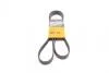 Ремень поликлиновой (Пр-во ContiTech) 6PK1520