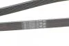 Пас поліклиновий Contitech 6PK1680 (фото 4)