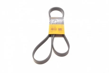 Ремень поликлиновый FORD, CITROEN, PEUGEOT, Contitech 6PK1733