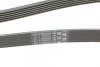 Пас поликлиновый Contitech 6PK1870 (фото 3)