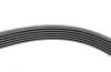 Ремень поликлиновой FORD TOURNEO CONNECT 1.8 16V 06/02-12/13 Contitech 6PK1973 (фото 4)