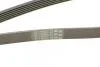 Поликлиновой ремень MERCEDES-BENZ W164 ML 300 CDI 02/10-12/11 Contitech 6PK2035 (фото 4)