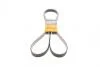 Ремень поликлиновый 6PK2196 DB W203 C220 CD