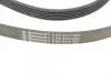 Ремінь генератора W202/210 M112/113 97> (WP,PS) Contitech 6PK2310 (фото 3)