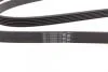 Ремень генератора W202/210 M112/113 97&gt; (WP,PS) Contitech 6PK2315 (фото 3)