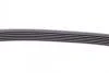 Ремень генератора MB W124/W164 Contitech 6PK2360 (фото 4)