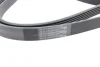 Ремень поликлиновой Contitech 6PK2563 (фото 3)