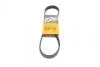 Ремень генератора 6PK831 Transit 2.0 Di/TDCi 00> (-AC) 6PK831 ELAST