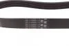 Ремінь генератора 6PK831 Transit 2.0 Di/TDCi 00> (-AC) Contitech 6PK831 ELAST (фото 2)