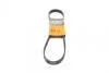 Ремень генератора 6PK875 Jumper/Boxer 2.0/2.2HDi 06.04- (-AC)/Movano 2.5D