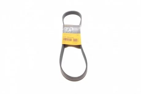 Доріжковий пас Contitech 6 PK 989 ELAST
