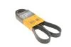 Ремень поликлиновый 7PK1260