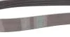 Комплект ремня Contitech 7PK1605K1 (фото 3)