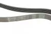 Фото 3 - ремень генератора Master/Movano 2.3dCi 14- Contitech 7PK1675 Ремень генератора Master/Movano 2.3dCi 14- Contitech 7PK1675 (фото 3)