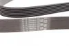 Фото 2 - ремень генератора Master/Trafic 2.5 CDTI/dCi 03- Contitech 7PK1834 Ремень генератора Master/Trafic 2.5 CDTI/dCi 03- Contitech 7PK1834 (фото 2)