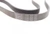 Фото 3 - ремень генератора Master/Trafic 2.5 CDTI/dCi 03- Contitech 7PK1834 Ремень генератора Master/Trafic 2.5 CDTI/dCi 03- Contitech 7PK1834 (фото 3)