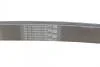 Ремень генератора Master 2.3dci 10- (+AC) Contitech 7PK2054 (фото 3)