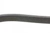 Поликлиновой ремень AUDI A8 (4E2, 4E8) 10/02-07/10 Contitech 7PK2535 (фото 2)
