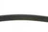 Поликлиновой ремень BMW 5 (F10) 535 i xDrive 03/10-10/16 Contitech 8PK1390 (фото 2)