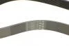 Поликлиновой ремень BMW 5 (F10) 535 i xDrive 03/10-10/16 Contitech 8PK1390 (фото 4)