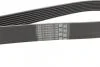 Ремінь полікліновий, Land Rover 2.7TD 4x4Discovery 04-09, Range rover 05-13 Contitech 8PK2092 (фото 2)