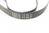 Ремінь полікліновий, Land Rover 2.7TD 4x4Discovery 04-09, Range rover 05-13 Contitech 8PK2092 (фото 3)