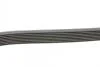 Пас поликлиновый Contitech 8PK2440 (фото 2)