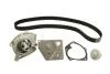 Комплект ременя ГРМ із водяним насосом., Renault Laguna, Megane, Scenic 1.9dCi 02- Contitech CT1064WP2 (фото 2)