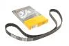 Ремень ГРМ 1.8-2.0 16V Scudo/Expert 00-/Peugeot 307/407 00- CT1138