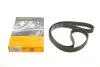 PASEK ROZRZҐDU /CONTI/ CT1229