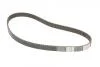 Ремкомплект грм с помпой воды SKODA OCTAVIA I (1U2) 2.0 Contitech CT908WP2 (фото 4)