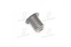 Сальники клапанов IN/EX Citroen/Peugeot Ford 2.0HDI 2010- 12053671