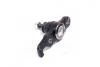Опора кульова нижня R Hyundai Tucson 05- Kia Sportage 06- CTR CB0203 (фото 2)