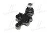 Фото 2 - опора шаровая нижняя Kia Sorento 02- (выр-во) CTR CB0217 Опора шаровая нижняя Kia Sorento 02- (выр-во) CTR CB0217 (фото 2)