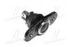 Опора кульова нижня Hyundai Accent 01-10 Kia Rio 05-12 CTR CB0220 (фото 3)