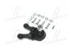Опора кульова нижня R Mitsubishi Pajero 90- Pajero Sport 95-00 CTR CB0248R (фото 3)