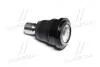 Фото 3 - опора шаровая нижняя Mazda 2 07- Demio 07- Toyota Yaris 16- Ford Fiesta 11-18 (выр-во) CTR CB0293 Опора шаровая нижняя Mazda 2 07- Demio 07- Toyota Yaris 16- Ford Fiesta 11-18 (выр-во) CTR CB0293 (фото 3)