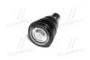Фото 4 - опора шаровая нижняя Mazda 2 07- Demio 07- Toyota Yaris 16- Ford Fiesta 11-18 (выр-во) CTR CB0293 Опора шаровая нижняя Mazda 2 07- Demio 07- Toyota Yaris 16- Ford Fiesta 11-18 (выр-во) CTR CB0293 (фото 4)