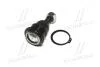 Опора кульова нижня Nissan Primera 90-98 Almera 99- Sunny 85- Altima 90-02 CTR CB0314 (фото 4)