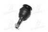 Фото 2 - опора шаровая нижняя Subaru Forester 96- Impreza 92- Legacy 89- Outback 00- (выр-во) CTR CB0355 Опора шаровая нижняя Subaru Forester 96- Impreza 92- Legacy 89- Outback 00- (выр-во) CTR CB0355 (фото 2)