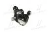 Фото 4 - опора кульова нижня Toyota RAV4 00-03 Corolla 120 02-07 20- Prius (50) CTR CB0393 Опора кульова нижня Toyota RAV4 00-03 Corolla 120 02-07 20- Prius (50) CTR CB0393 (фото 4)