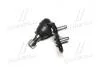 Опора кульова нижня L Toyota Camry 30 35 Highlander 01- Lexus RX330 CTR CB0402L (фото 2)