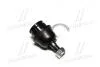 Фото 4 - опора шаровая нижняя Toyota Fortuner 05- Hilux 05- (выр-во) CTR CB0408 Опора шаровая нижняя Toyota Fortuner 05- Hilux 05- (выр-во) CTR CB0408 (фото 4)